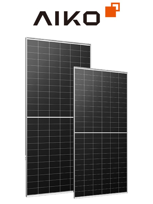N-Type ABC Dual-glass Bifacial Module
